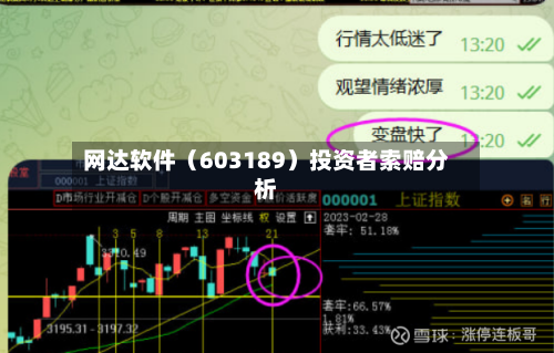 网达软件(603189)投资者索赔分析-第2张图片