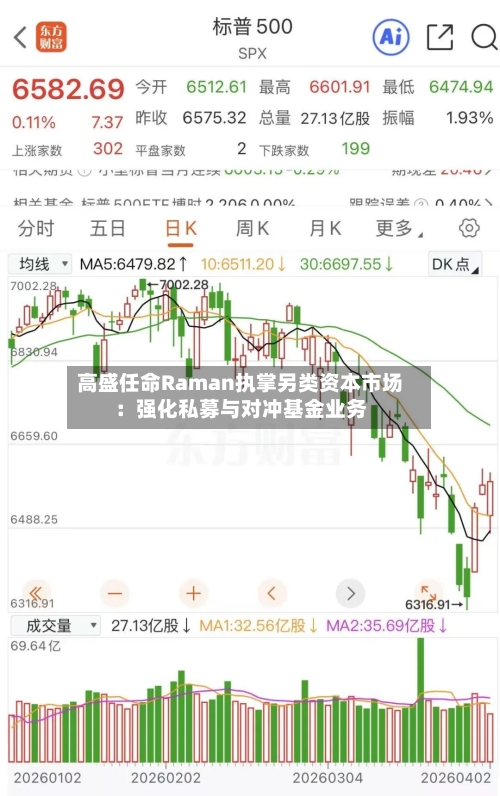 高盛任命Raman执掌另类资本市场:强化私募与对冲基金业务-第2张图片