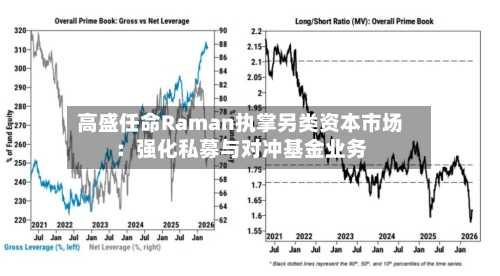 高盛任命Raman执掌另类资本市场:强化私募与对冲基金业务-第3张图片