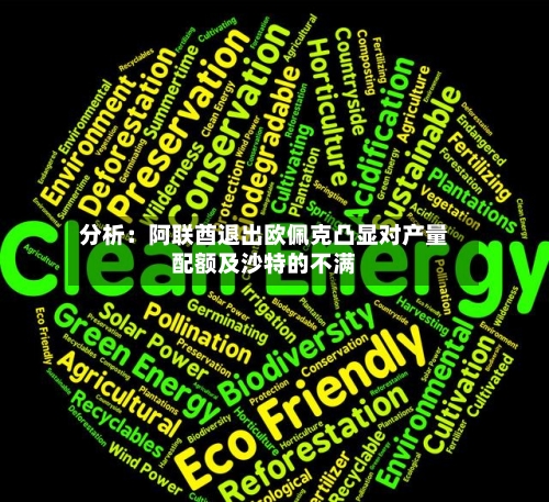 分析:阿联酋退出欧佩克凸显对产量配额及沙特的不满-第2张图片