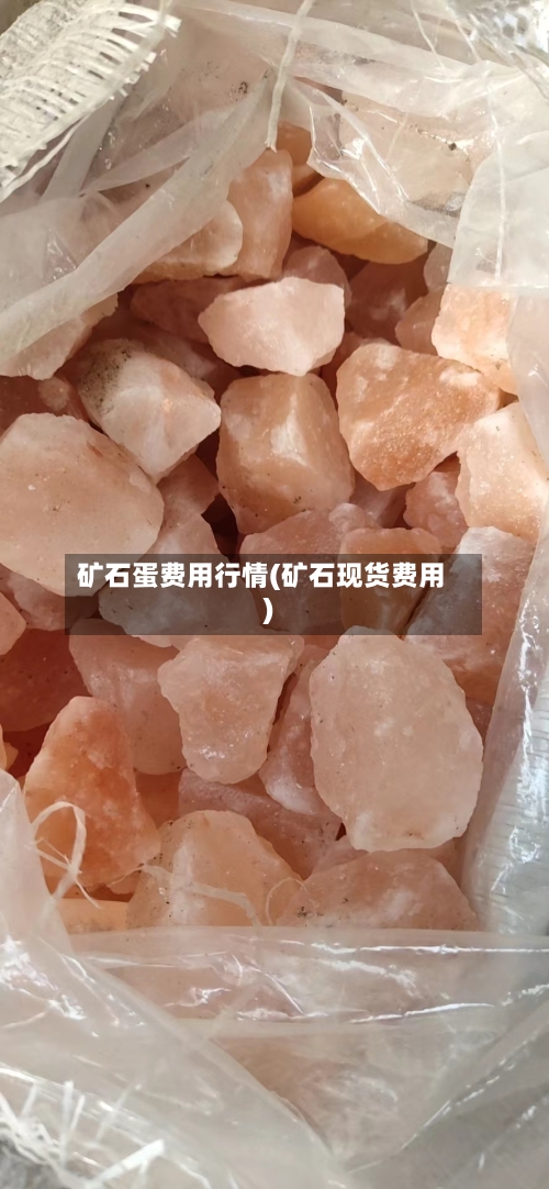 矿石蛋费用行情(矿石现货费用)