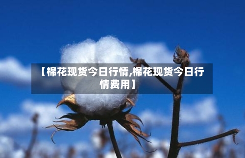 【棉花现货今日行情,棉花现货今日行情费用】