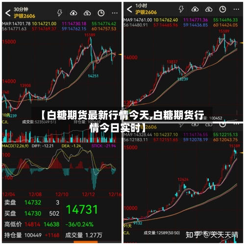 【白糖期货最新行情今天,白糖期货行情今日实时】