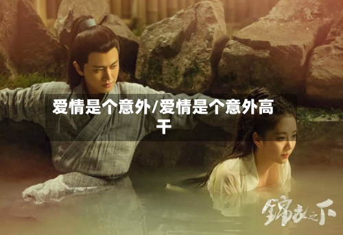 爱情是个意外/爱情是个意外高干