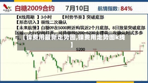 【镍费用最新走势图,镍费用走势图k线】-第3张图片