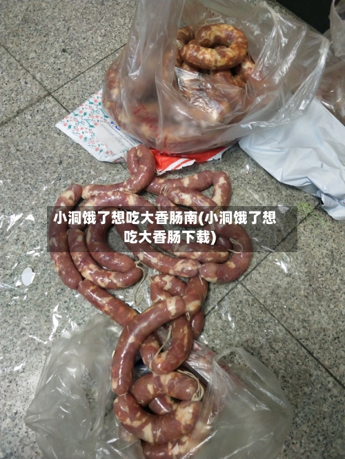 小洞饿了想吃大香肠南(小洞饿了想吃大香肠下载)