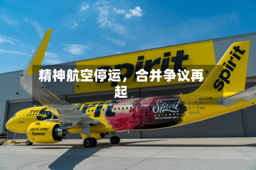 精神航空停运，合并争议再起