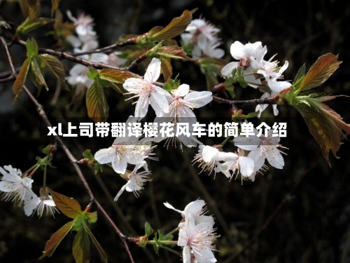 xl上司带翻译樱花风车的简单介绍