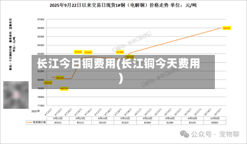 长江今日铜费用(长江铜今天费用)-第2张图片