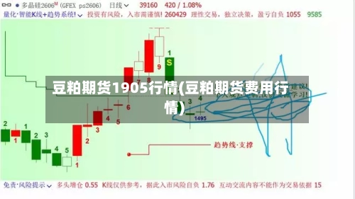 豆粕期货1905行情(豆粕期货费用行情)-第3张图片