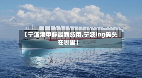 【宁波港甲醇最新费用,宁波lng码头在哪里】