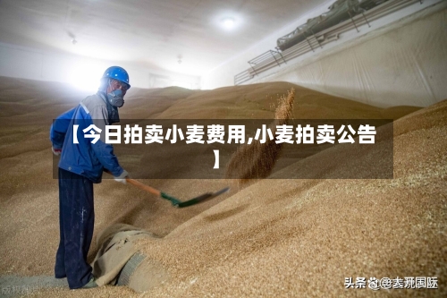 【今日拍卖小麦费用,小麦拍卖公告】-第2张图片
