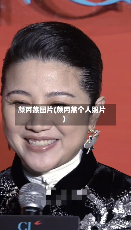 颜丙燕图片(颜丙燕个人照片)-第3张图片