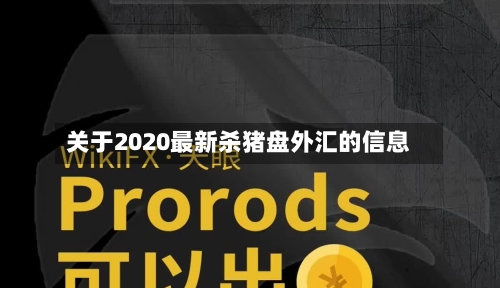 关于2020最新杀猪盘外汇的信息-第2张图片