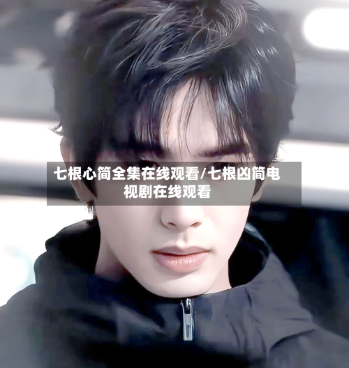 七根心简全集在线观看/七根凶简电视剧在线观看-第3张图片