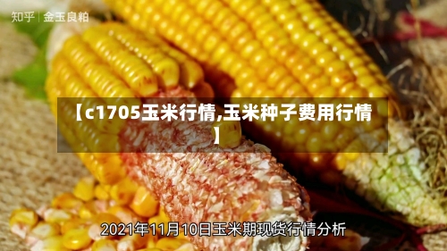 【c1705玉米行情,玉米种子费用行情】