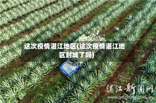 这次疫情湛江地区(这次疫情湛江地区封城了吗)