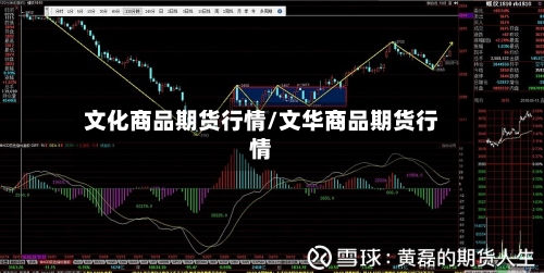 文化商品期货行情/文华商品期货行情-第3张图片