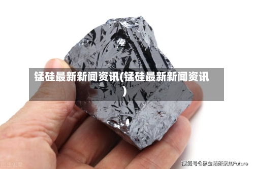 锰硅最新新闻资讯(锰硅最新新闻资讯)-第2张图片