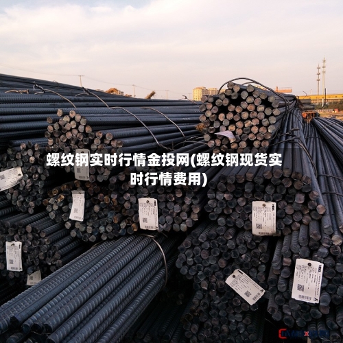 螺纹钢实时行情金投网(螺纹钢现货实时行情费用)-第2张图片