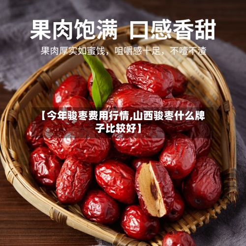 【今年骏枣费用行情,山西骏枣什么牌子比较好】