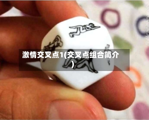 激情交叉点1(交叉点组合简介)