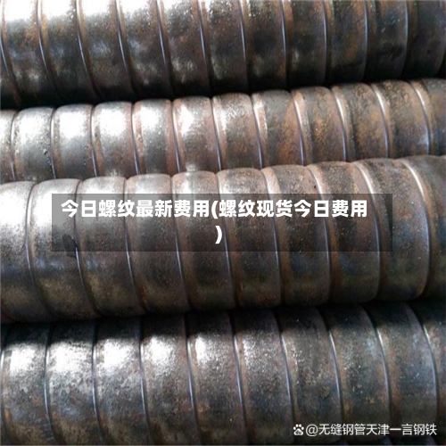 今日螺纹最新费用(螺纹现货今日费用)-第3张图片