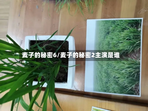 麦子的秘密6/麦子的秘密2主演是谁-第3张图片