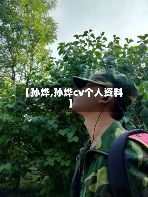 【孙烨,孙烨cv个人资料】-第3张图片