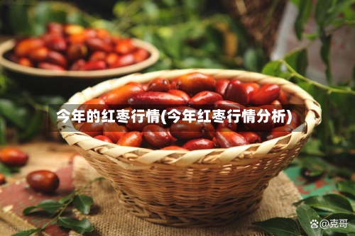 今年的红枣行情(今年红枣行情分析)