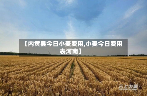 【内黄县今日小麦费用,小麦今日费用表河南】