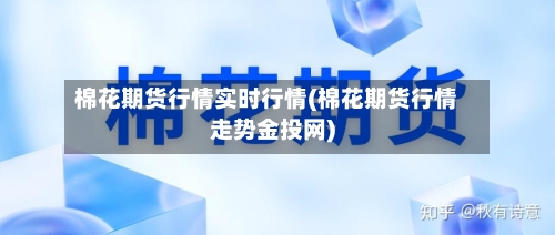 棉花期货行情实时行情(棉花期货行情走势金投网)