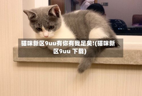猫咪新区9uu有你有我足矣!(猫咪新区9uu 下载)