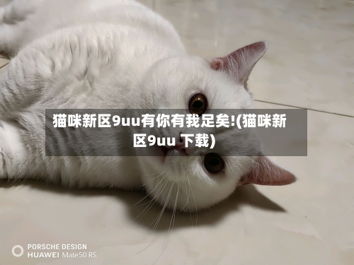 猫咪新区9uu有你有我足矣!(猫咪新区9uu 下载)-第3张图片