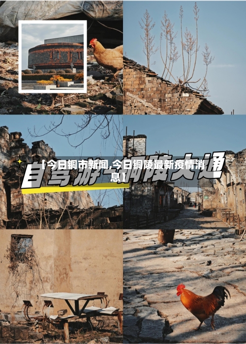 【今日铜市新闻,今日铜陵最新疫情消息】-第2张图片