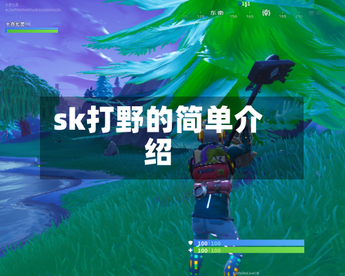 sk打野的简单介绍