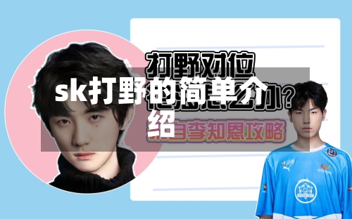 sk打野的简单介绍-第3张图片