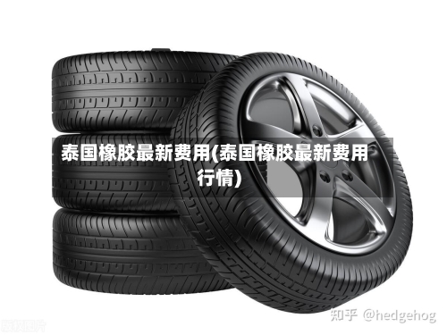 泰国橡胶最新费用(泰国橡胶最新费用行情)