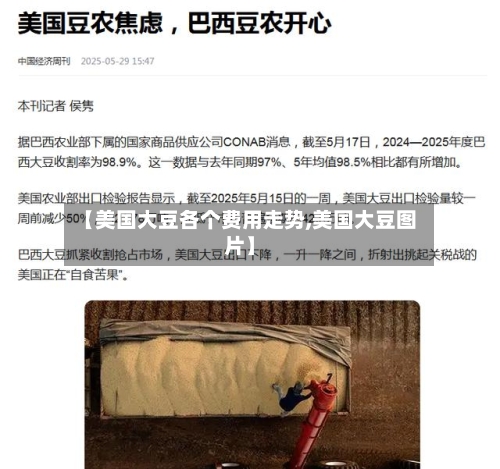 【美国大豆各个费用走势,美国大豆图片】