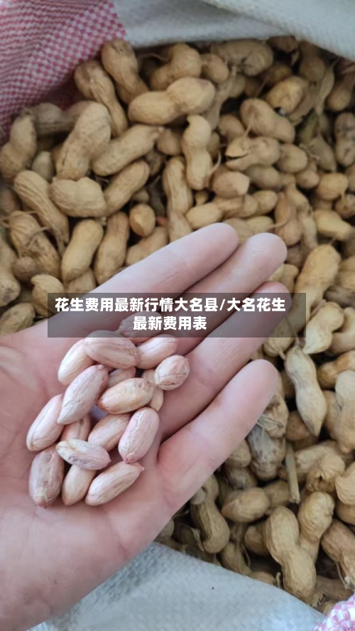 花生费用最新行情大名县/大名花生最新费用表-第2张图片