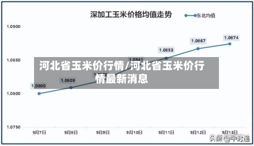 河北省玉米价行情/河北省玉米价行情最新消息-第2张图片