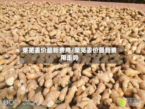 莱芜姜价最新费用/莱芜姜价最新费用走势-第2张图片
