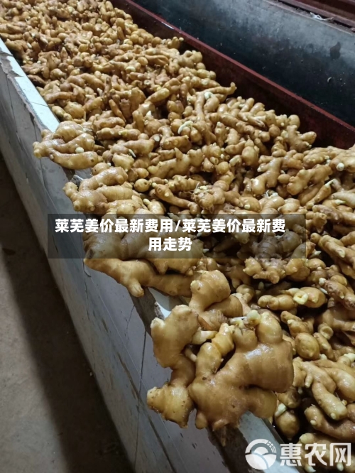 莱芜姜价最新费用/莱芜姜价最新费用走势