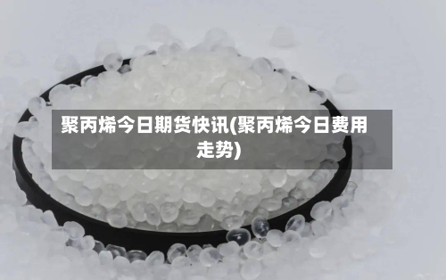 聚丙烯今日期货快讯(聚丙烯今日费用走势)-第2张图片