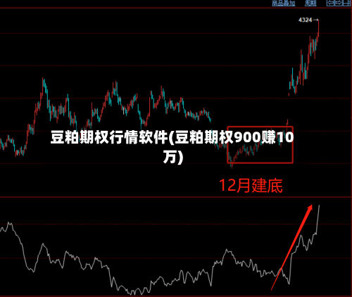 豆粕期权行情软件(豆粕期权900赚10万)-第3张图片