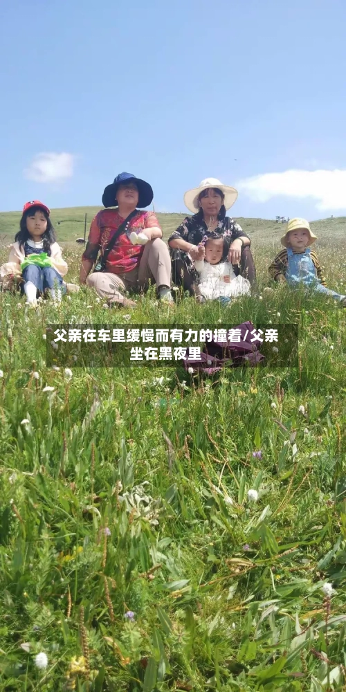 父亲在车里缓慢而有力的撞着/父亲坐在黑夜里-第3张图片