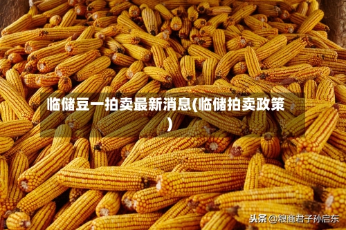 临储豆一拍卖最新消息(临储拍卖政策)-第3张图片
