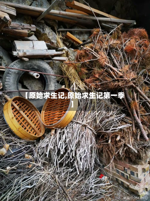 【原始求生记,原始求生记第一季】-第2张图片