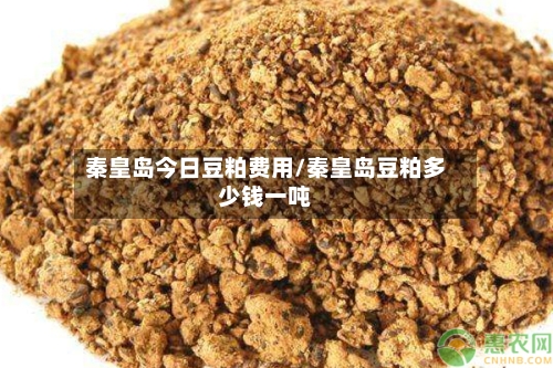 秦皇岛今日豆粕费用/秦皇岛豆粕多少钱一吨-第2张图片