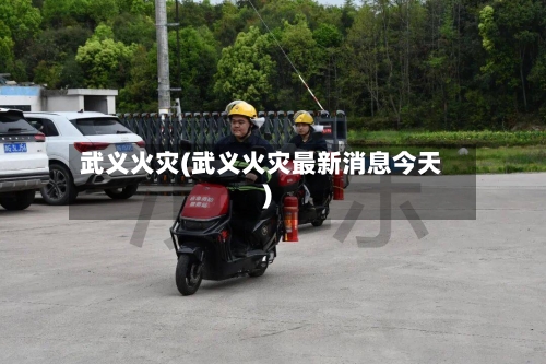 武义火灾(武义火灾最新消息今天)-第3张图片